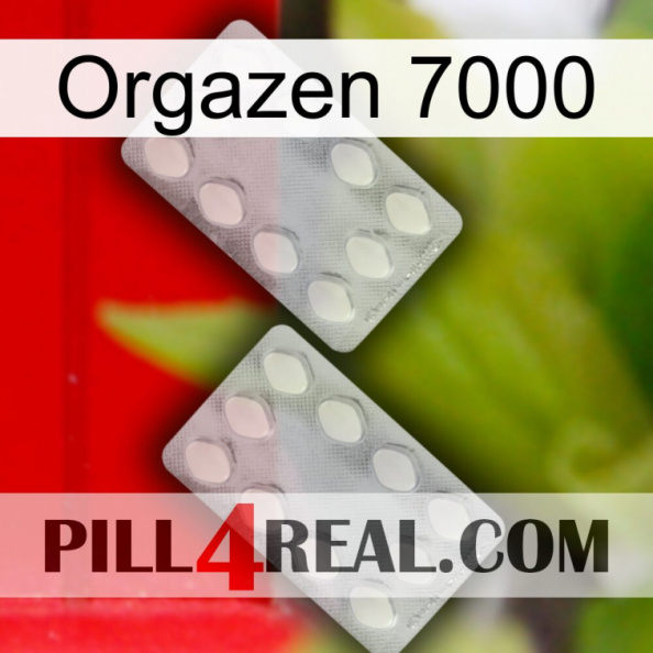 Orgazen 7000 17